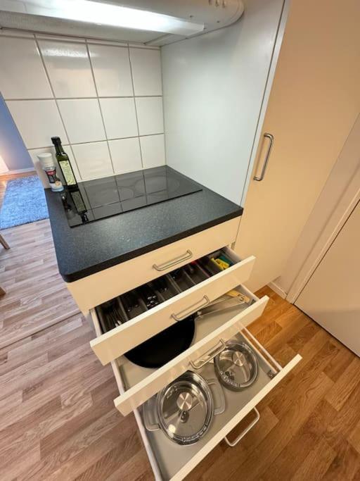 Laegenhet I Centrala Lidkoeping - Myhostel エクステリア 写真